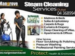 Professional Move-in/out Deep Steam Cleaning services in Dubai - Villa, Apartment, Office