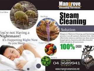 Deep/Steam Cleaning Services in Dubai - Sanitization (Move-in/out)