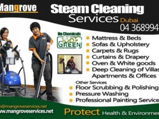 Deep/Steam Cleaning Services - Carpet,Curtain,Mattress,Sofa
