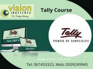 Tally Training At Vision Institute Ajman