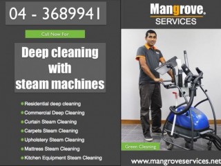 Professional Deep/Steam Cleaning Services in Dubai