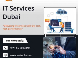 Dynamic IT Services in Dubai for Growing Companies