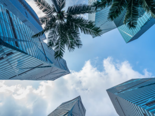 Aluminum Composite Panel Supplier in UAE